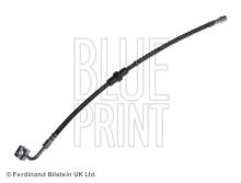 Blue Print ADG05338