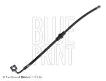 Blue Print ADG05339