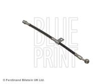 Blue Print ADG05341