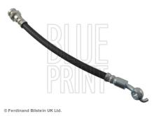 Blue Print ADG05348