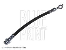 Blue Print ADG05349