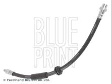 Blue Print ADG05356