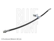 Blue Print ADG05357