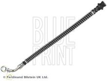 Blue Print ADG05365