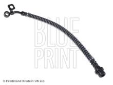 Blue Print ADG05366