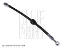 Blue Print ADG05375