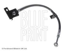 Blue Print ADG05379