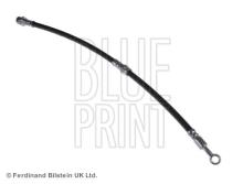 Blue Print ADG05389
