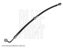 Blue Print ADG05395