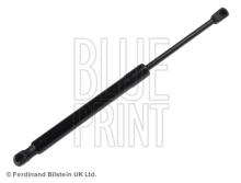 Blue Print ADG05834