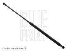 Blue Print ADG05838