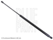 Blue Print ADG05843