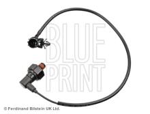 Blue Print ADG06606