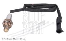 Blue Print ADG07049
