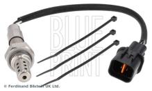 Blue Print ADG07053