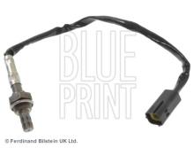 Blue Print ADG07054