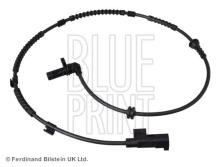 Blue Print ADG07184