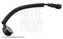 Blue Print ADG072117
