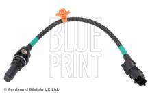 Blue Print ADG07273