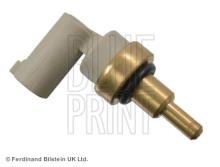 Blue Print ADG07295