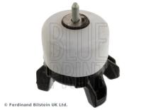Blue Print ADG080313