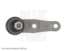 Blue Print ADG08604
