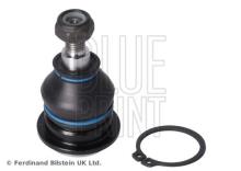 Blue Print ADG086121