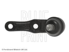 Blue Print ADG08613