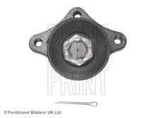 Blue Print ADG086175