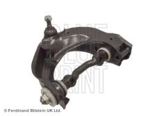 Blue Print ADG086247
