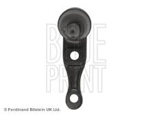 Blue Print ADG08629