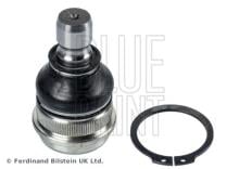 Blue Print ADG086324