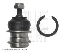 Blue Print ADG08632