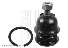 Blue Print ADG08636