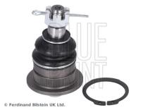 Blue Print ADG08648