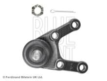 Blue Print ADG08655