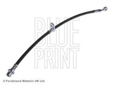 Blue Print ADH253111