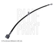 Blue Print ADH253117