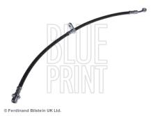 Blue Print ADH253143