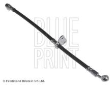 Blue Print ADH253144