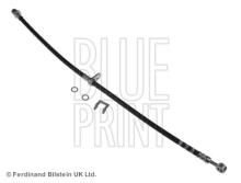 Blue Print ADH253155