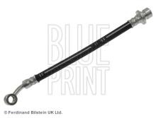 Blue Print ADH253169