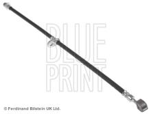 Blue Print ADH253178