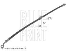 Blue Print ADH253186C