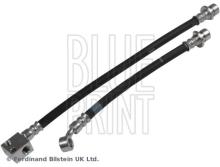 Blue Print ADH253187