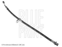 Blue Print ADH253190
