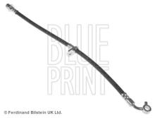 Blue Print ADH253192