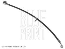 Blue Print ADH253193