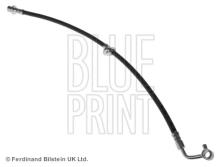 Blue Print ADH253198