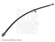 Blue Print ADH253203